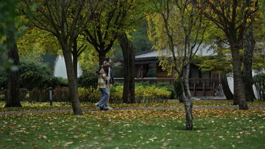 宽拍摄年轻的走夫妇风景优美的木路径早期秋天